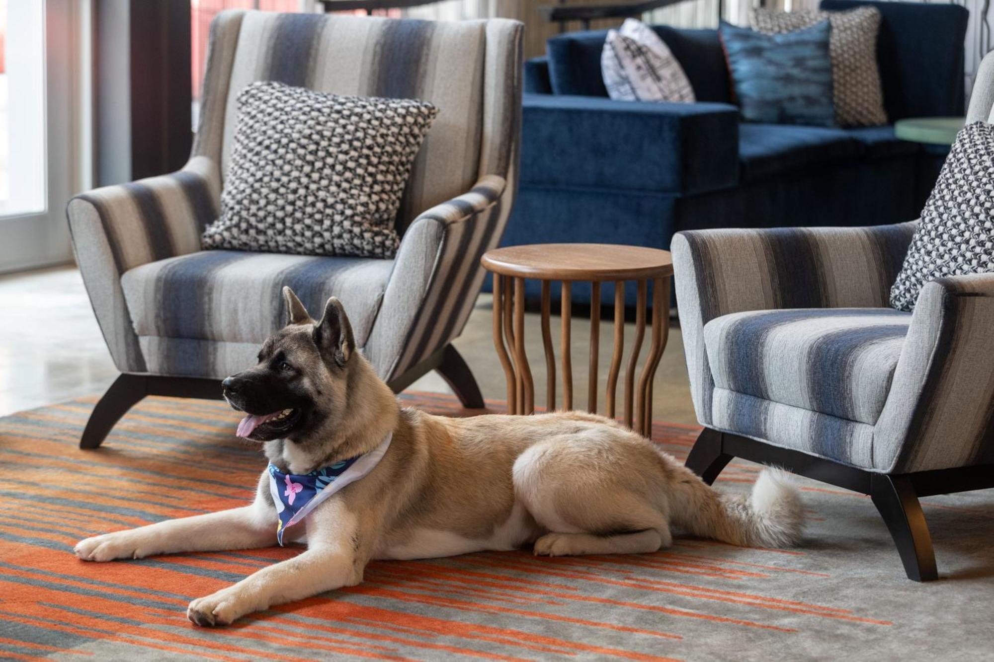 Aloft Beachwood Dış mekan fotoğraf